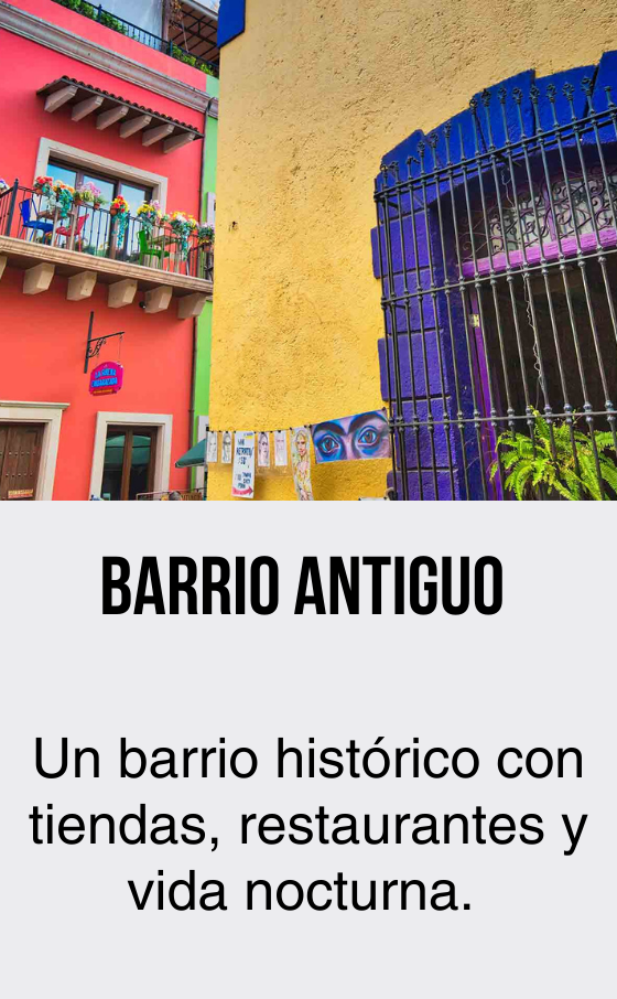 Cultura y Arte Monterrey 3